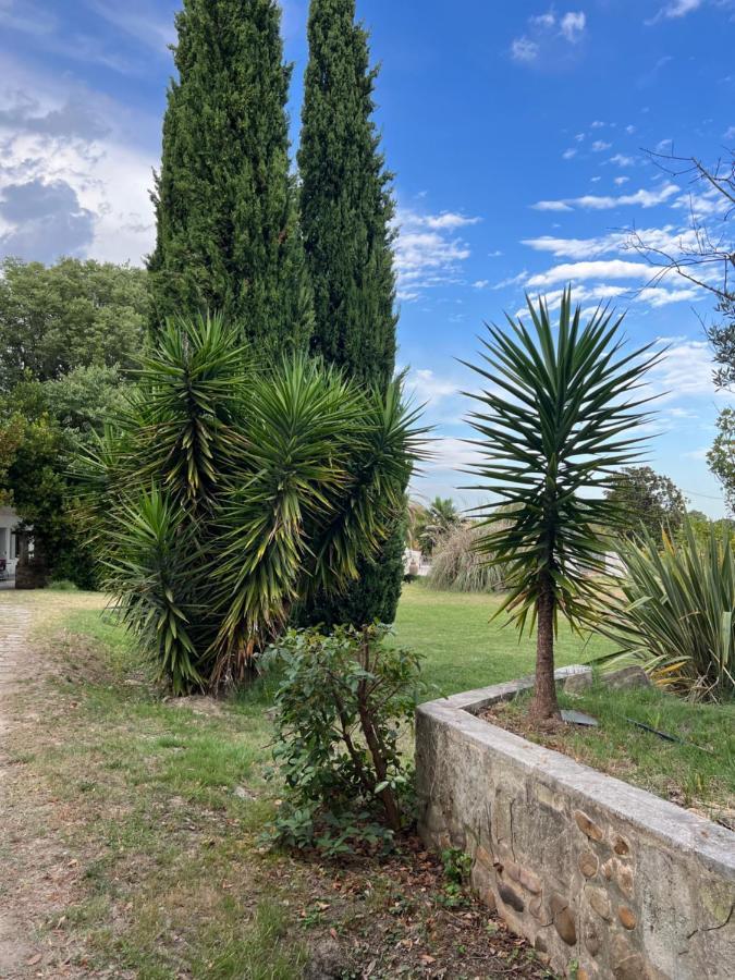 Alpilles Camargue Mas Falabrego Raphele Ngoại thất bức ảnh