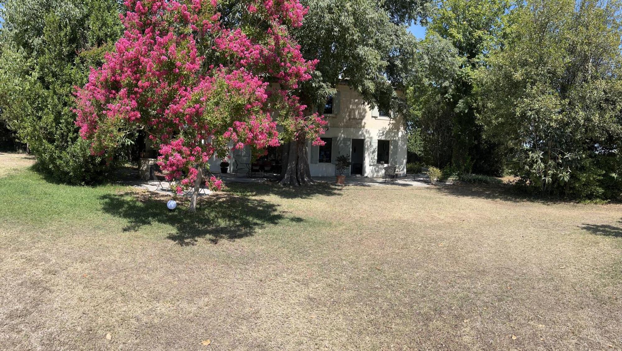 Alpilles Camargue Mas Falabrego Raphele Ngoại thất bức ảnh